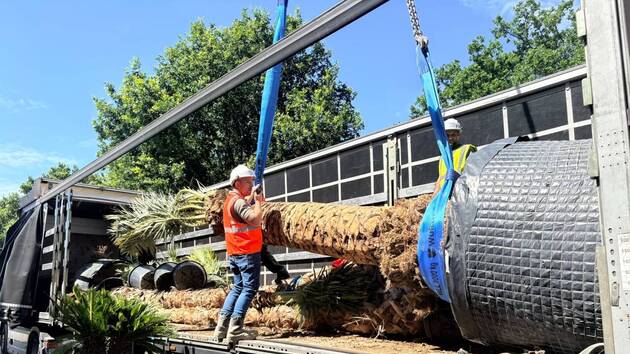 Première livraison de plantes pour l'hôtel L'Odyssée au Parc Astérix